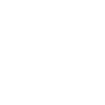 vanessa wu logo